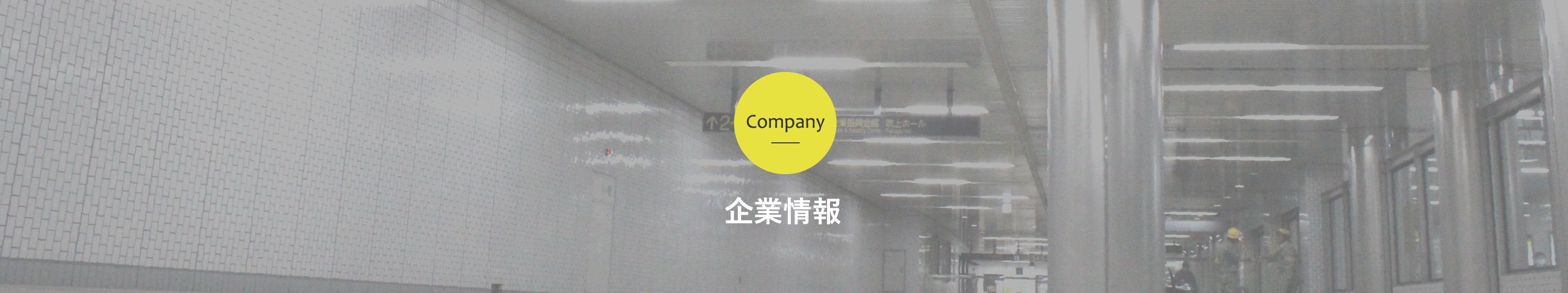 会社情報